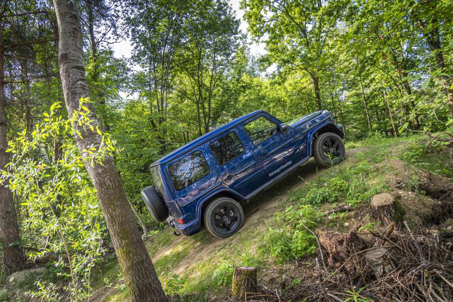  Mercedes-Benz G350 d (W463) 2019 года  (WW) (фото 30 из 41)